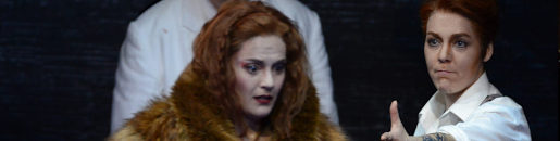 Das schlaue Füchslein